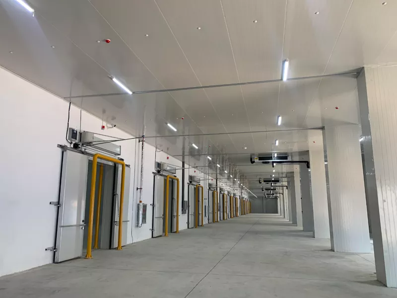 Steel Structure Warehouse alang sa pagpalamig